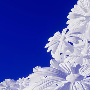 伊是香蕉大人在线观看
